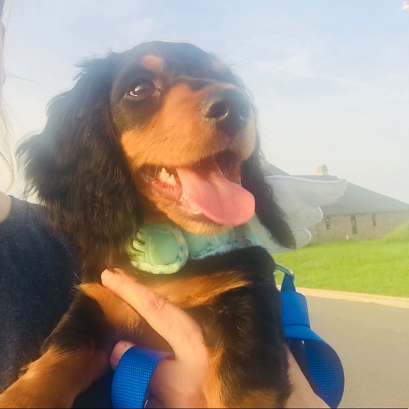 ***NOT FOR SALE*** - Picture 7 of 8